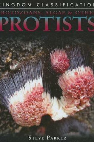 Cover of Protozoans, Algae & Other Protists