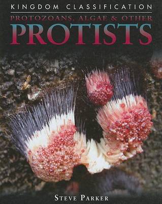 Book cover for Protozoans, Algae & Other Protists