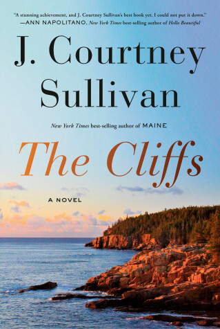 Book cover for The Cliffs