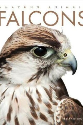 Cover of Falcons