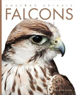 Cover of Falcons