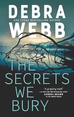 Book cover for The Secrets We Bury