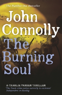 Book cover for The Burning Soul