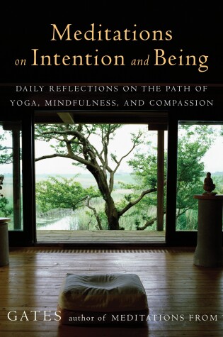 Cover of Meditations on Intention and Being