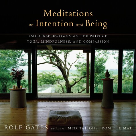 Book cover for Meditations on Intention and Being