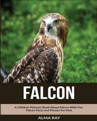 Book cover for Falcon