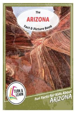 Book cover for The Arizona Fact and Picture Book