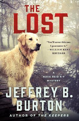 Book cover for The Lost