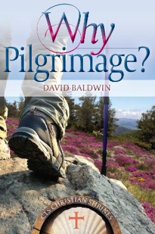 Cover of Why pilgrimage?