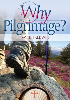 Book cover for Why pilgrimage?