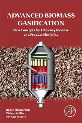 Book cover for Advanced Biomass Gasification