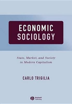 Book cover for Economic Sociology