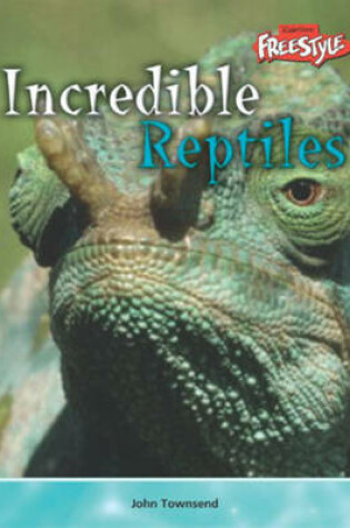 Cover of Reptiles Paperback