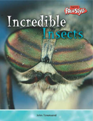 Book cover for Incredible Creatures: Insects