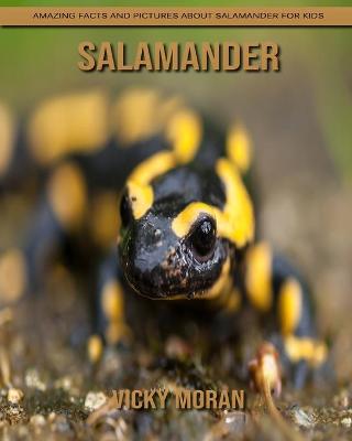 Book cover for Salamander