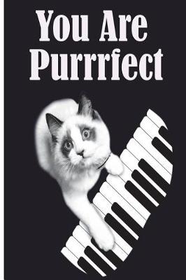 Book cover for You Are Purrrfect