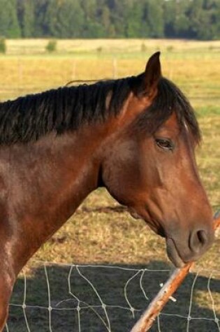 Cover of 2020 Daily Planner Horse Photo Equine Bay Horse Fence 388 Pages