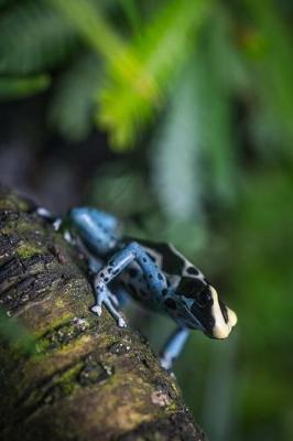 Book cover for Blue Tree Frog Climbing Up Journal