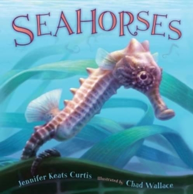 Book cover for Seahorses