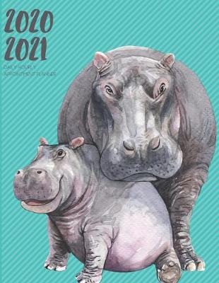 Book cover for Daily Planner 2020-2021 Hippo Calf 15 Months Gratitude Hourly Appointment Calendar