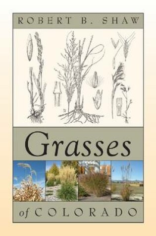 Cover of Grasses of Colorado