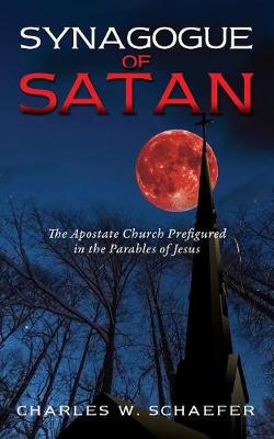 Book cover for Synagogue of Satan