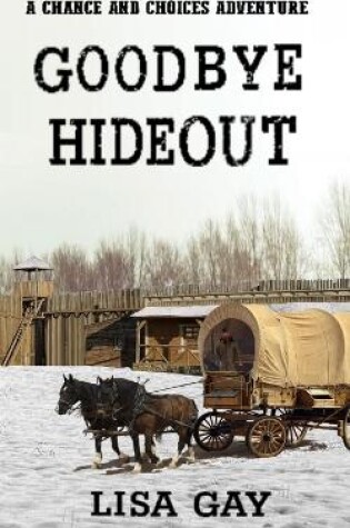 Cover of Goodbye Hideout