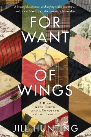 Cover of For Want of Wings