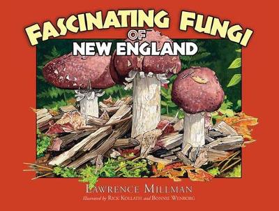 Book cover for Fascinating Fungi of New England