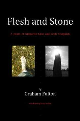 Cover of Flesh and Stone