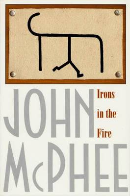 Book cover for Irons in the Fire