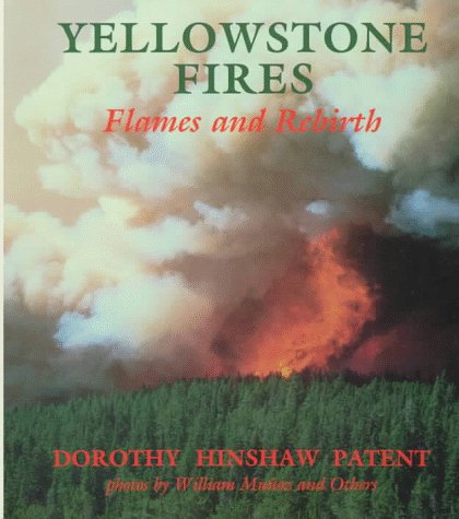 Book cover for Yellowstone Fires