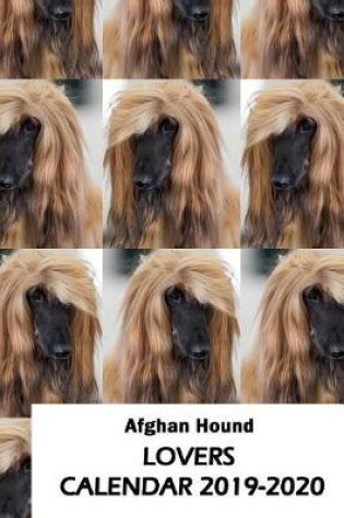 Cover of Afghan Hound Lovers Calendar 2019-2020