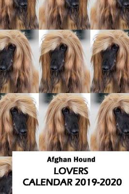 Book cover for Afghan Hound Lovers Calendar 2019-2020