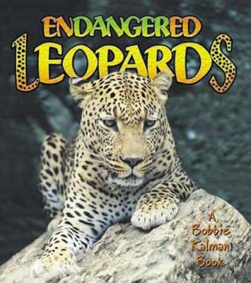 Book cover for Endangered Leopards