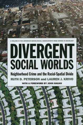 Cover of Divergent Social Worlds