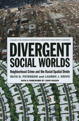 Book cover for Divergent Social Worlds