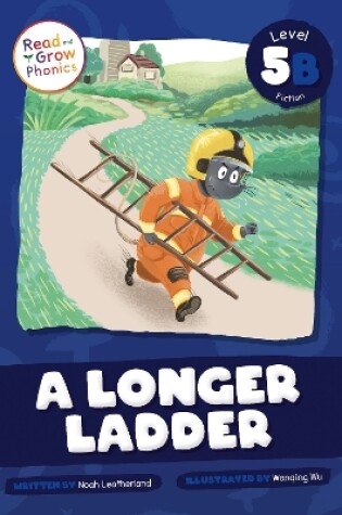 Cover of A Longer Ladder