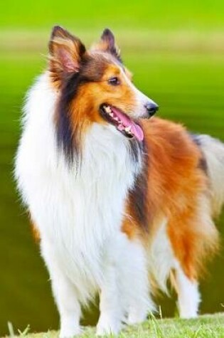 Cover of The Shetland Sheepdog Dog Journal (Sheltie)