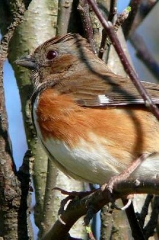 Cover of Eastern Towhee (Pipilo Erythrophthalmus) Bird Journal