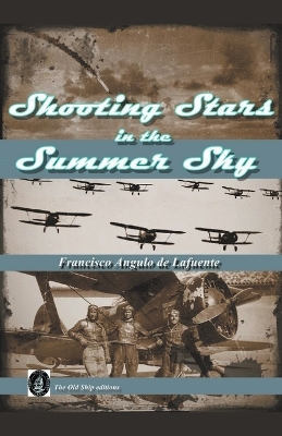 Book cover for Shooting Stars in the Summer Sky