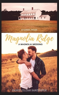 Book cover for Stories From Magnolia Ridge 2