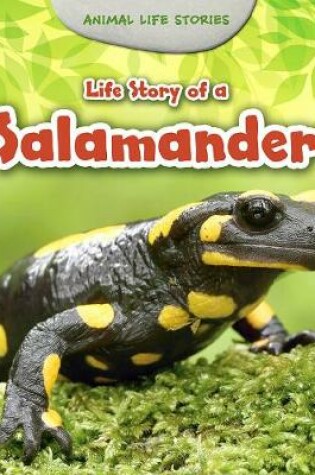 Cover of Life Story of a Salamander