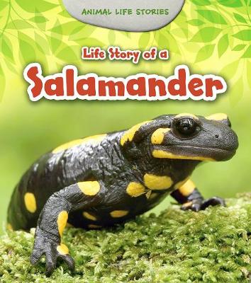 Cover of Life Story of a Salamander