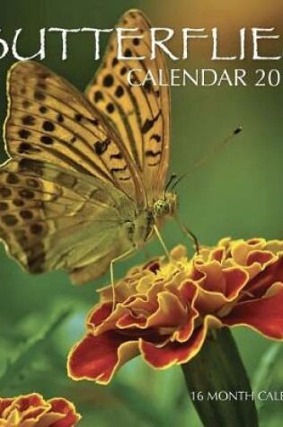Cover of Butterflies Calendar 2019