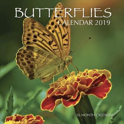 Book cover for Butterflies Calendar 2019