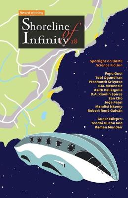 Book cover for Shoreline of Infinity 18