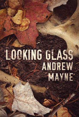 Book cover for Looking Glass