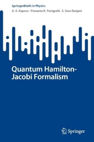 Cover of Quantum Hamilton-Jacobi Formalism