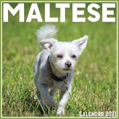 Book cover for Maltese Calendar 2021